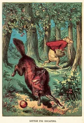 Little Pig Escaping
